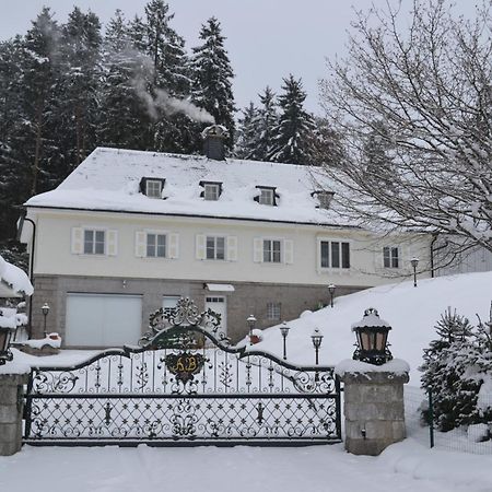 Schwarwald Apartment Шлухзее Екстериор снимка